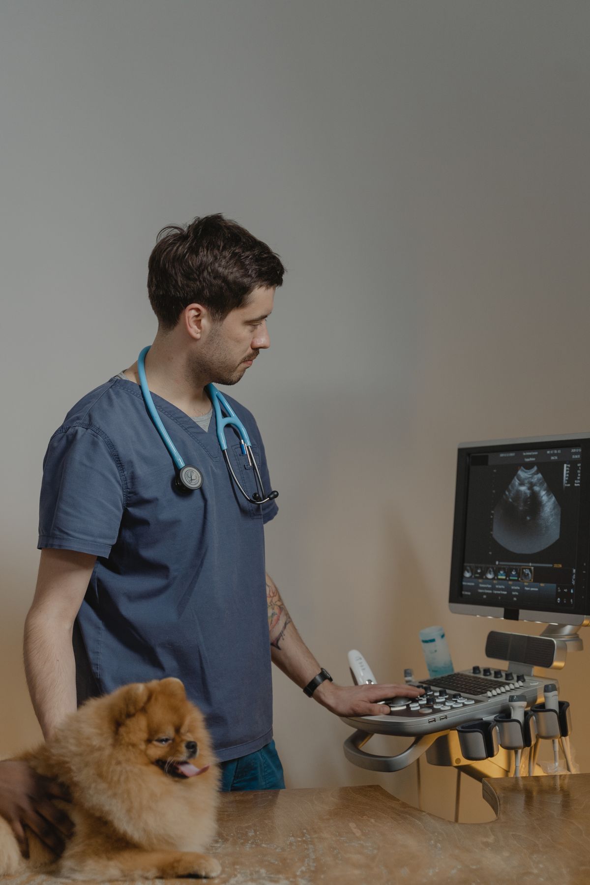 Veterinário de plantão opera o aparelho de ultrassom sob luz baixa da madrugada