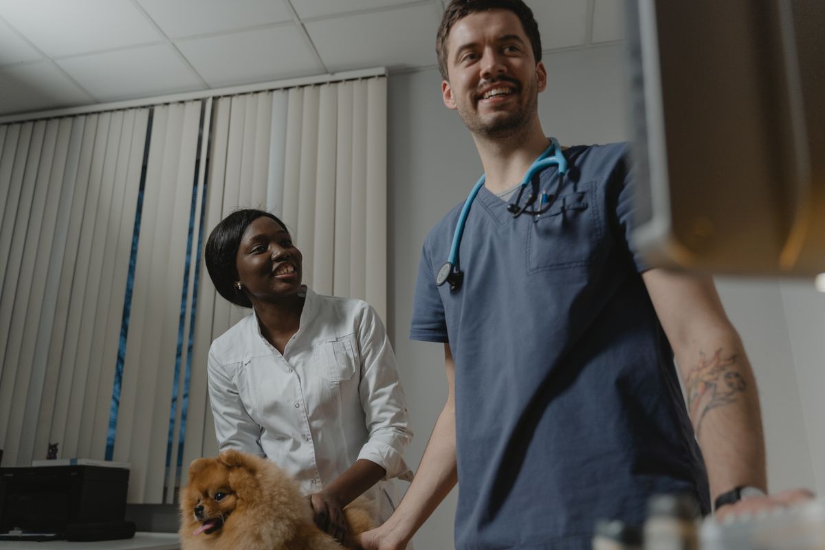 Dois veterinários da equipe sorrindo ao lado de um spitz na sala de exame