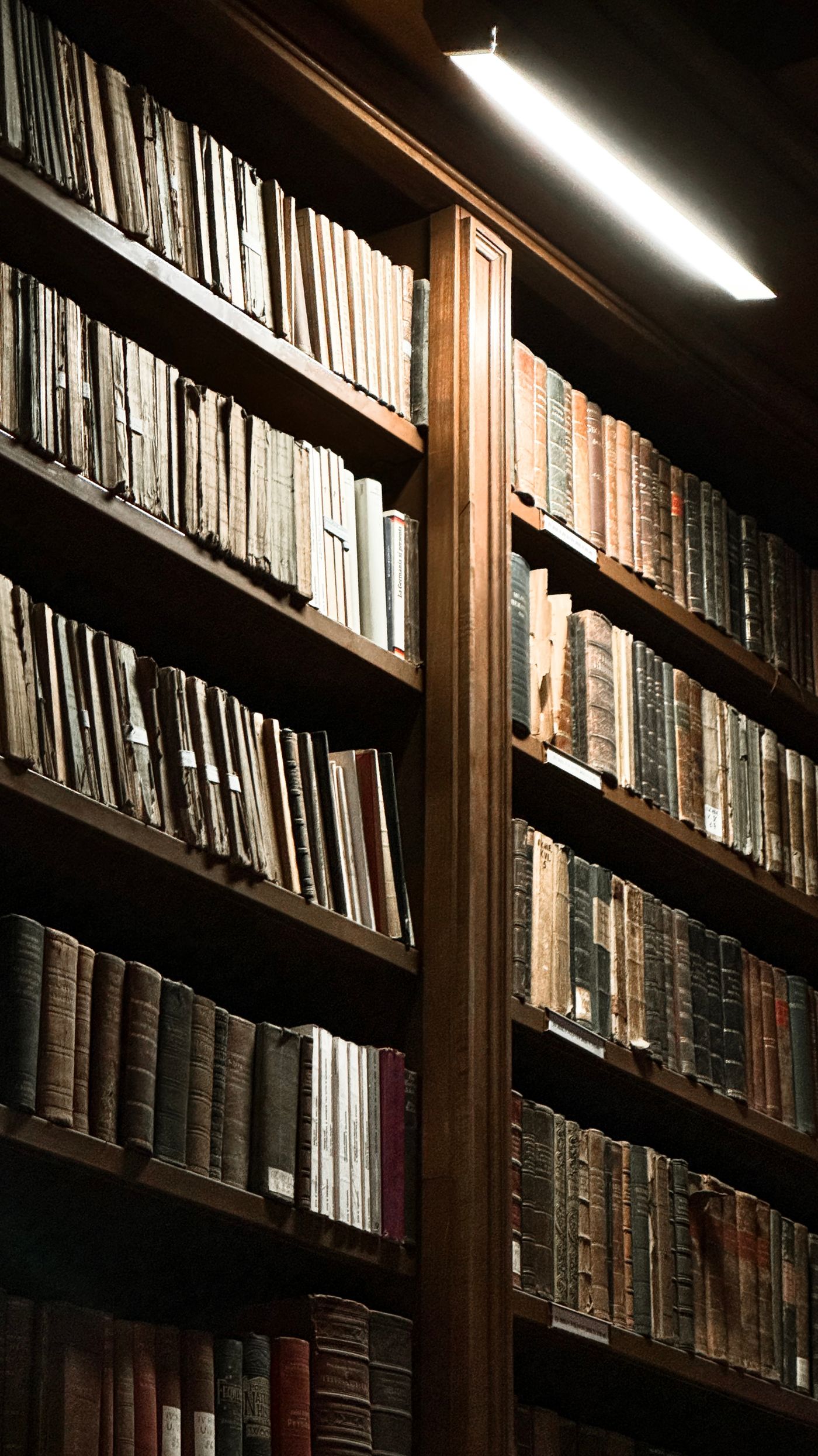 Volumes encadernados de códigos e leis alinhados numa estante de madeira.