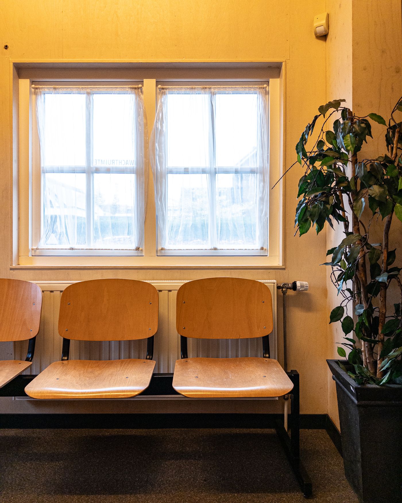 A recepção do escritório, com poltronas de madeira e uma planta junto à janela.