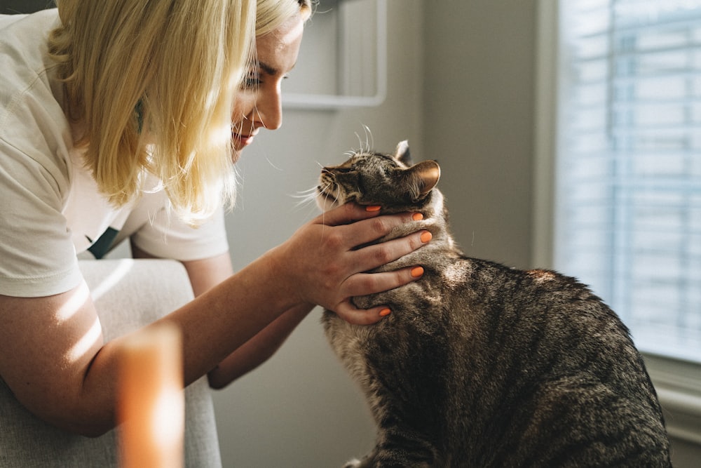 Tutora acariciando sua gata rajada perto da janela