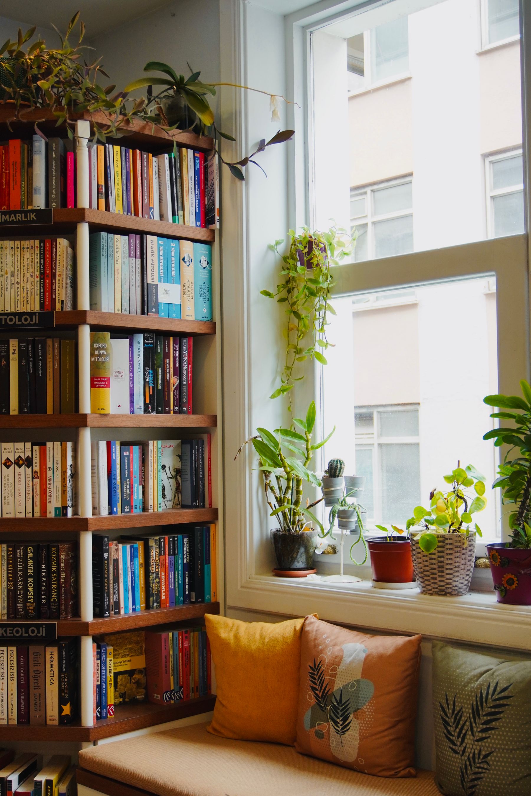 Estante de madeira com livros e um vaso, sob luz de janela.